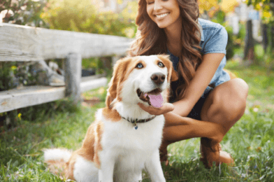 Top 10 Essential Tips for New Pet Owners