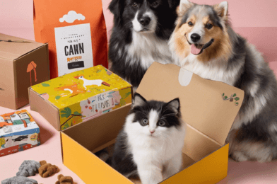 The Best Pet Subscription Boxes for Dogs and Cats