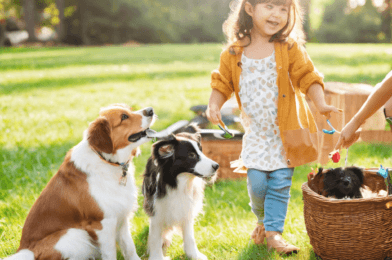 Setting Up a Pet Playdate: Tips for a Smooth Meet-Up